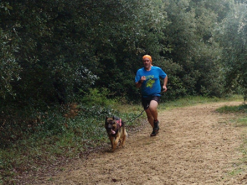 stage canicross avec anthony lemoigne 2015