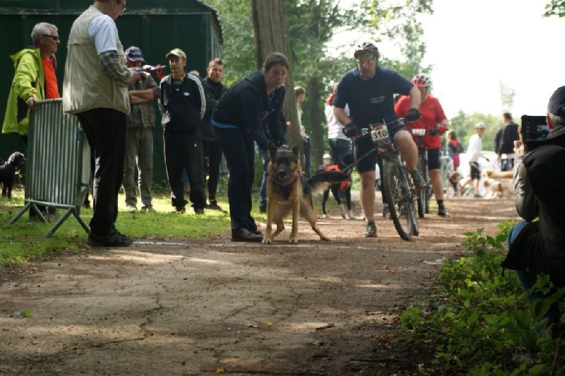gpf cani vtt a olhains 2015 foscari