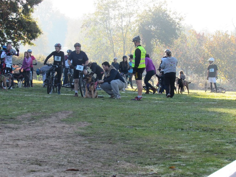 cani vtt ccpm 2015 foscari