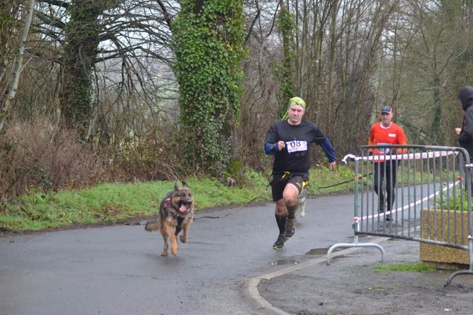 canicross torigny 2016